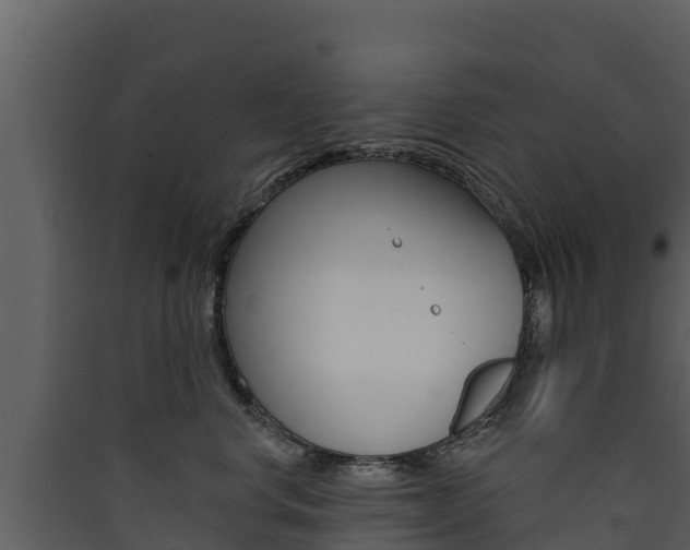 X0000090420668200707130947