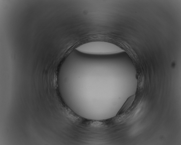 X0000090420669200707130947