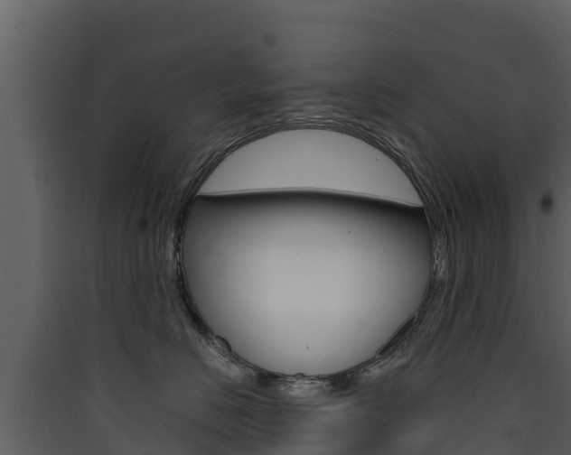 X0000090420670200707130947