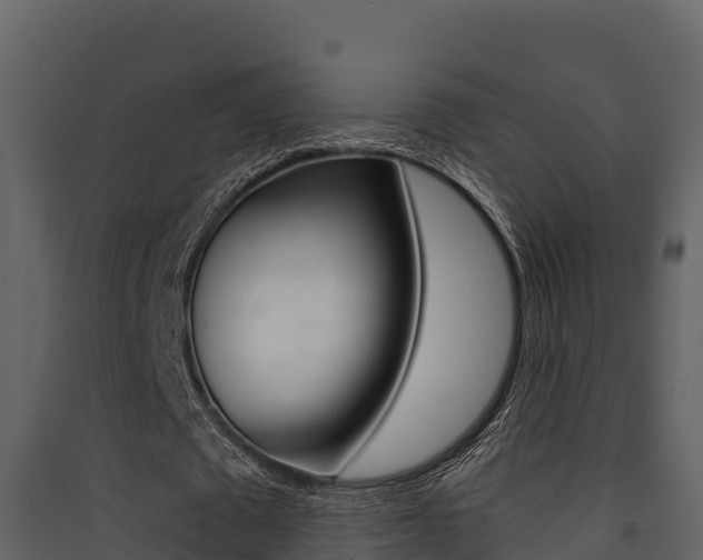 X0000090420673200707130947