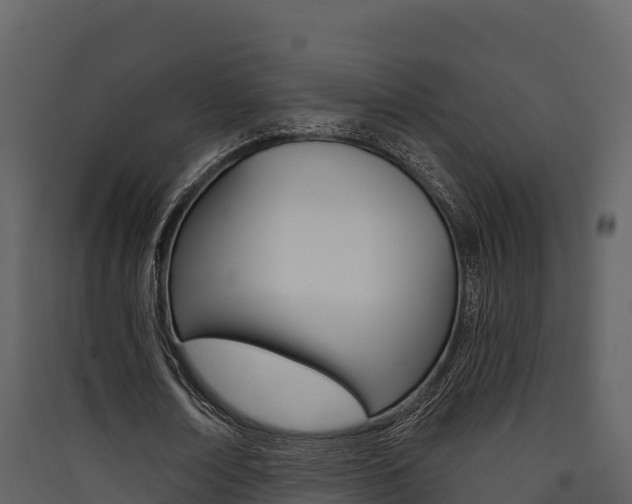 X0000090420674200707130947