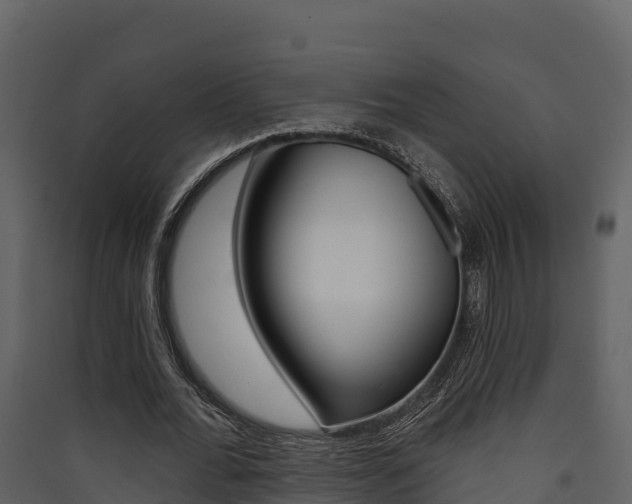 X0000090420676200707130947