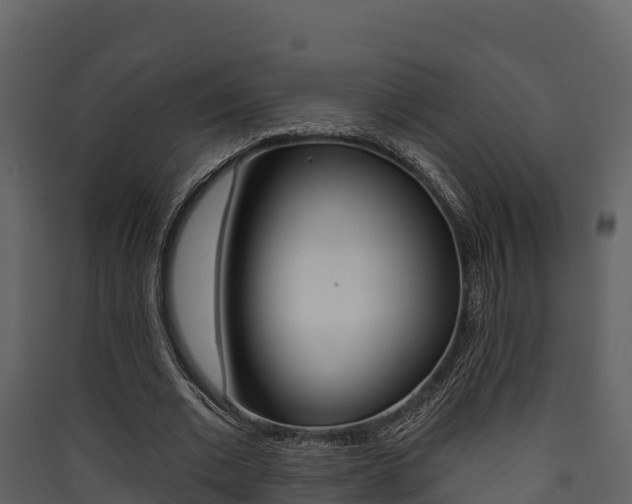 X0000090420677200707130947
