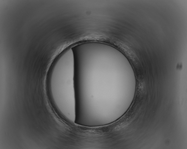X0000090420678200707130947