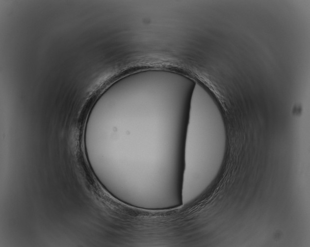 X0000090420679200707130947