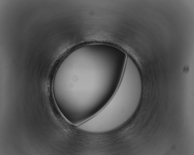 X0000090420680200707130947