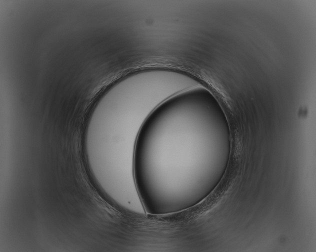 X0000090420681200707130947