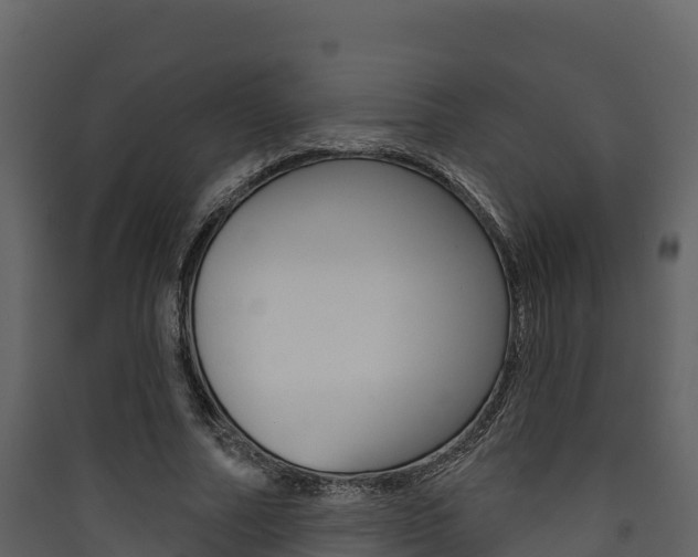 X0000090420682200707130947