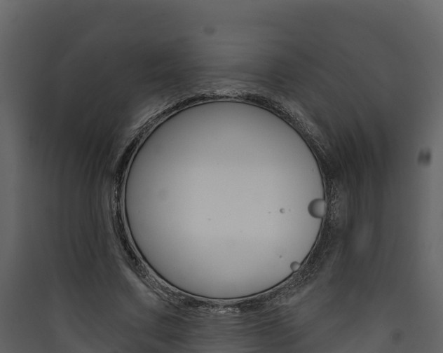 X0000090420683200707130947