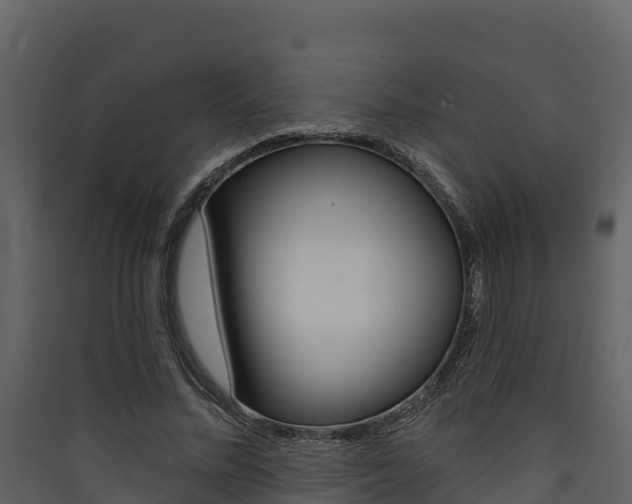 X0000090420684200707130947