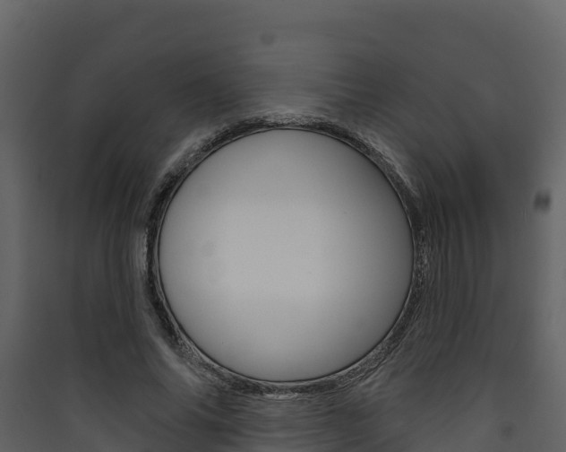 X0000090420686200707130947