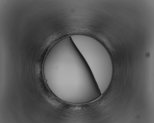 X0000090420687200707130947