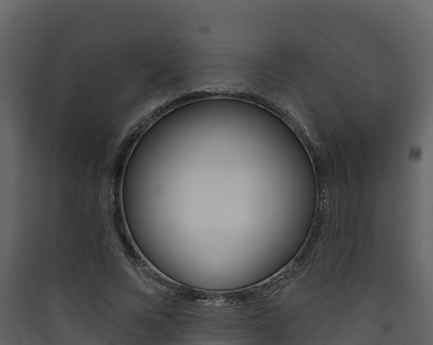 X0000090420688200707130947