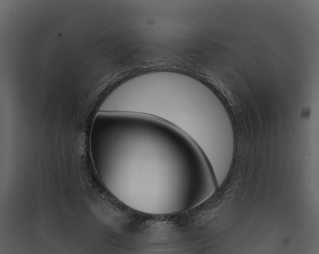 X0000090420689200707130947