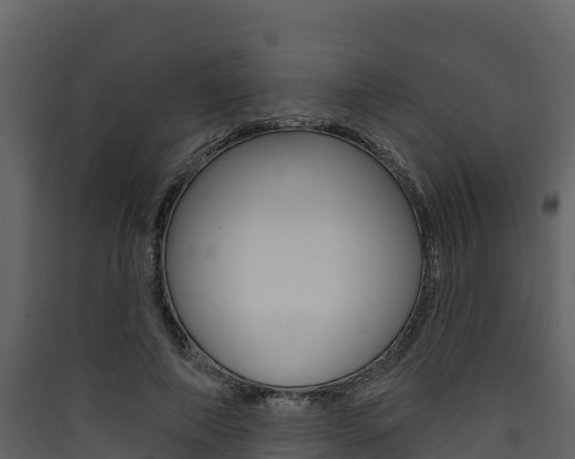 X0000090420690200707130947