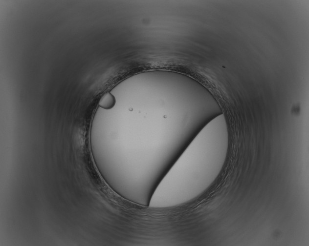 X0000090420691200707130947