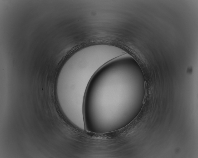 X0000090420693200707130947