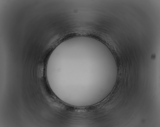 X0000090420694200707130947