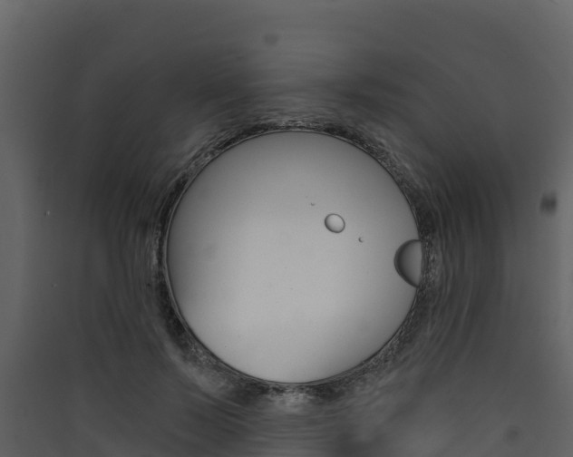 X0000090420695200707130947