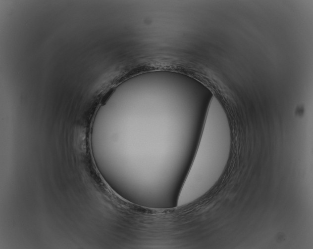 X0000090420696200707130947