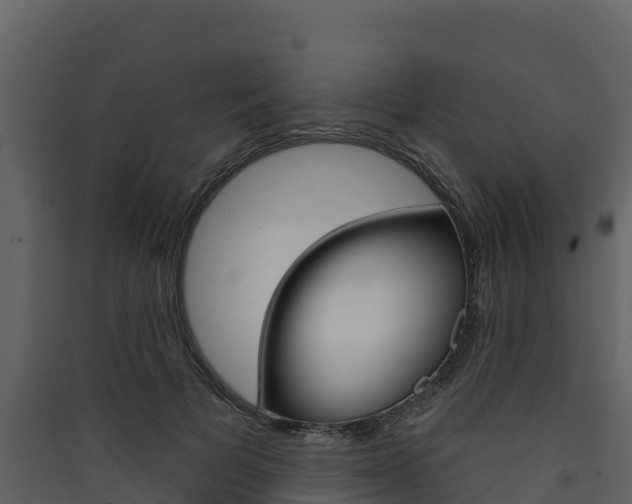 X0000090420697200707130947