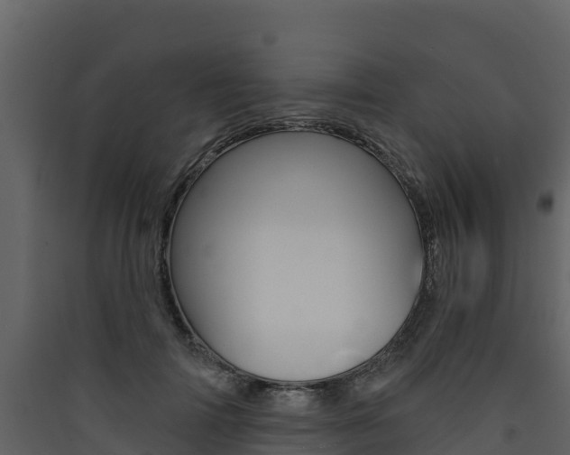 X0000090420698200707130947