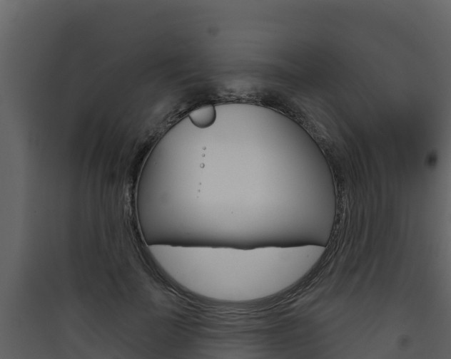 X0000090420699200707130947