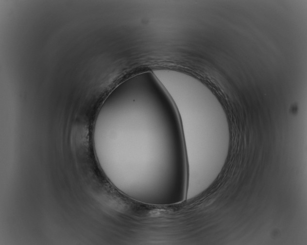 X0000090420700200707130947