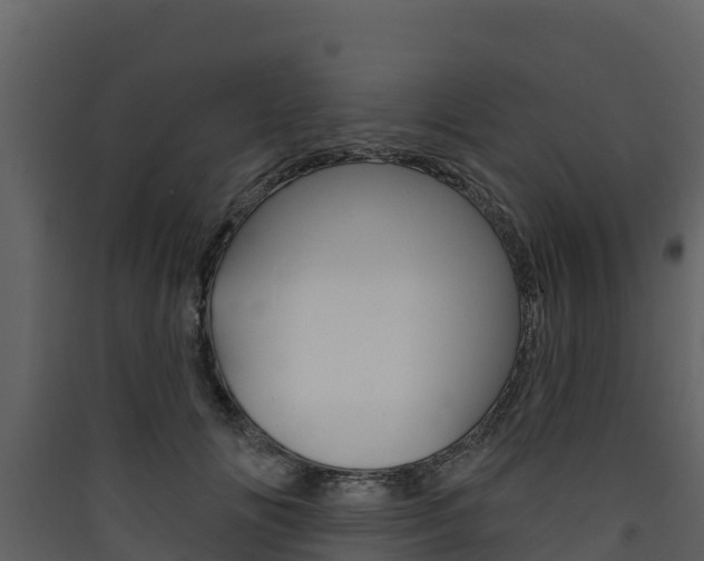 X0000090420702200707130947
