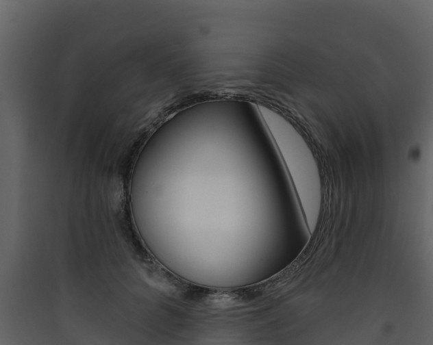 X0000090420704200707130946