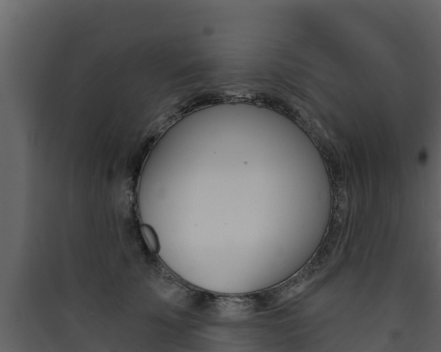 X0000090420707200707130946