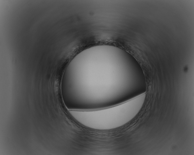 X0000090420708200707130946