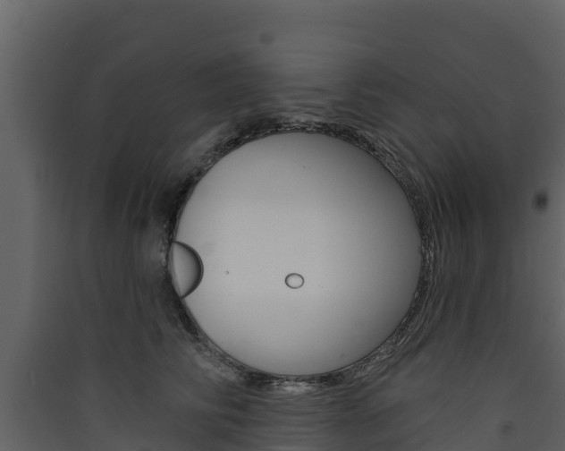 X0000090420710200707130946