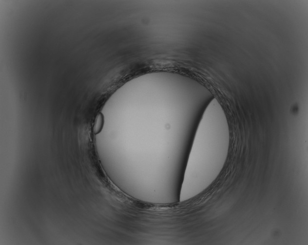 X0000090420711200707130946