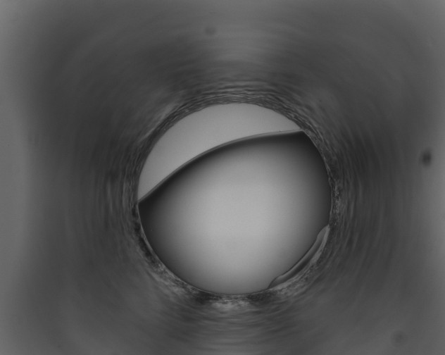 X0000090420712200707130946