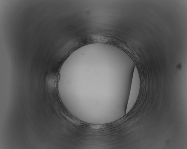 X0000090420713200707130946