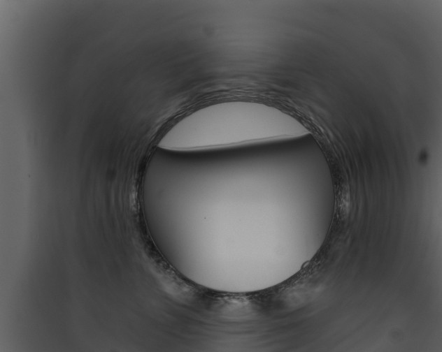 X0000090420715200707130946