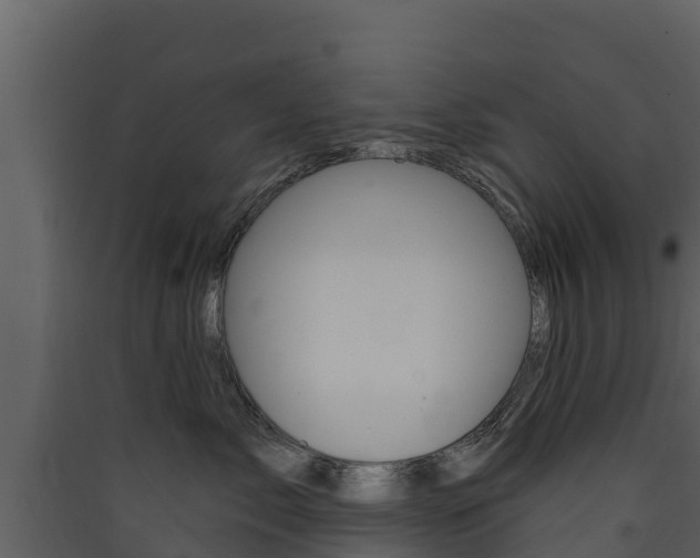 X0000090420717200707130946
