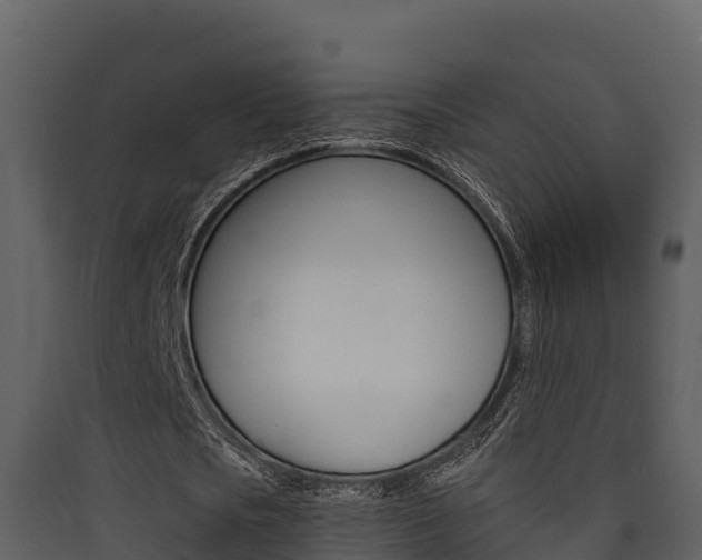 X0000090420721200707130946