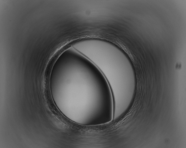 X0000090420722200707130946