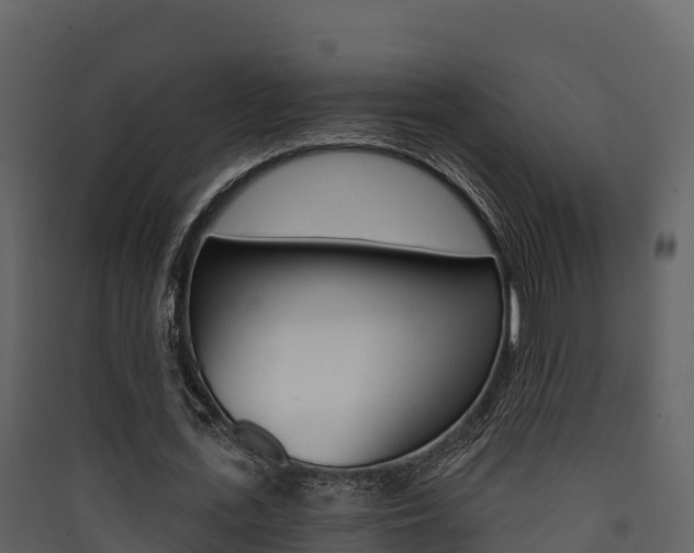 X0000090420723200707130946
