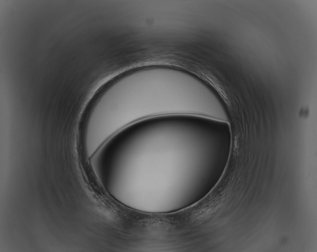 X0000090420724200707130946