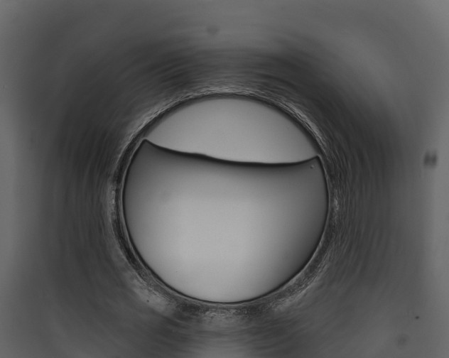 X0000090420725200707130946