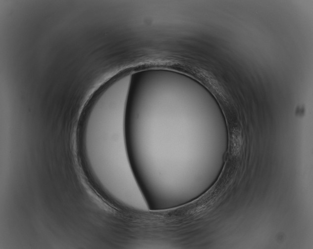 X0000090420726200707130946