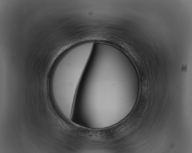 X0000090420727200707130946