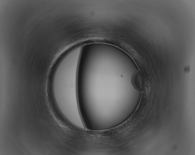 X0000090420728200707130946