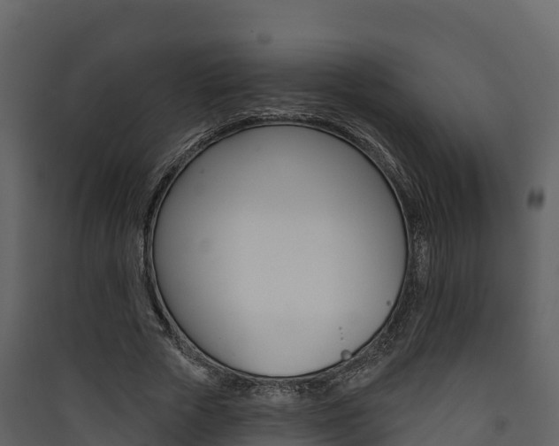 X0000090420729200707130946