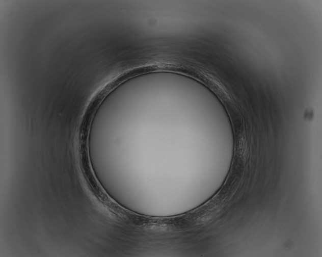 X0000090420730200707130946