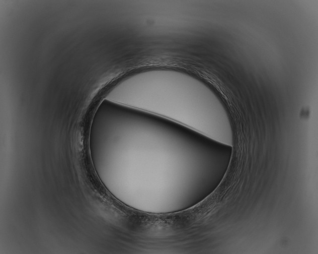 X0000090420731200707130946