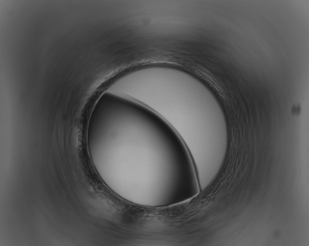 X0000090420732200707130946